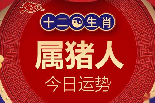 生肖属猪的人今日运势详解2024年1月2日特吉生肖