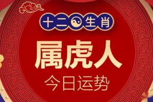 生肖屬虎的人今日運勢詳解2024年1月6日特吉生肖