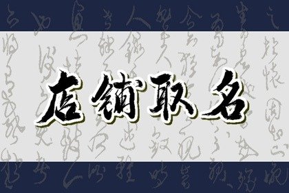 2024龙年有创意的宠物店名字