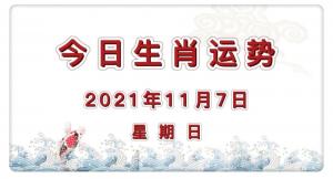 2021年11月8日生肖运势_12生肖运势全解_12生肖今日运势详解_今日运势查询