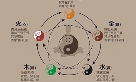 五行之间相生相克的关系-易经怎么入门-易经周易知识入门-