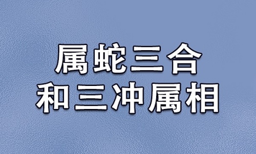 属猴三合和三冲属相