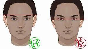 耳朵跟眉毛一样高的人面相