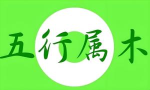 五行属木的字大全男孩