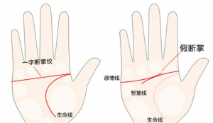 断掌纹的男人有什么说法