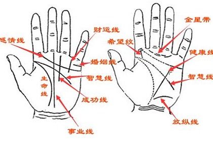 手相怎么看出女人有多少个男人