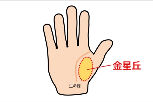 金星丘饱满是什么意思