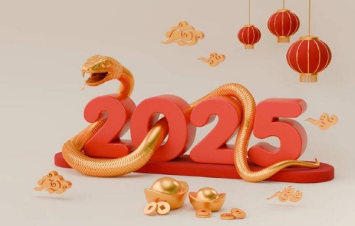 2025年出生的蛇是什么命