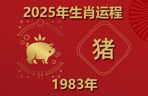 2025年属猪运势及运程1983年生人